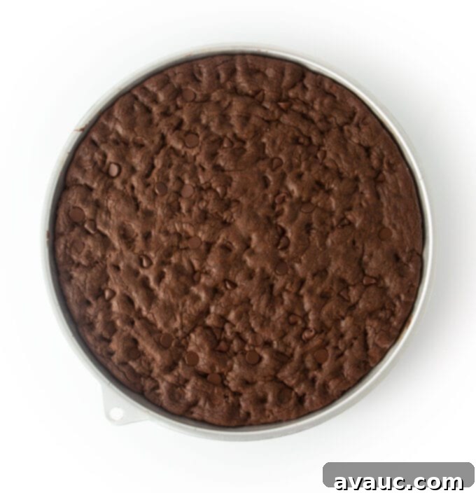 Decadent Triple Chocolate Cookie Cake 8 baked pan of triple chocolate cookie cake in round cookie cake pan