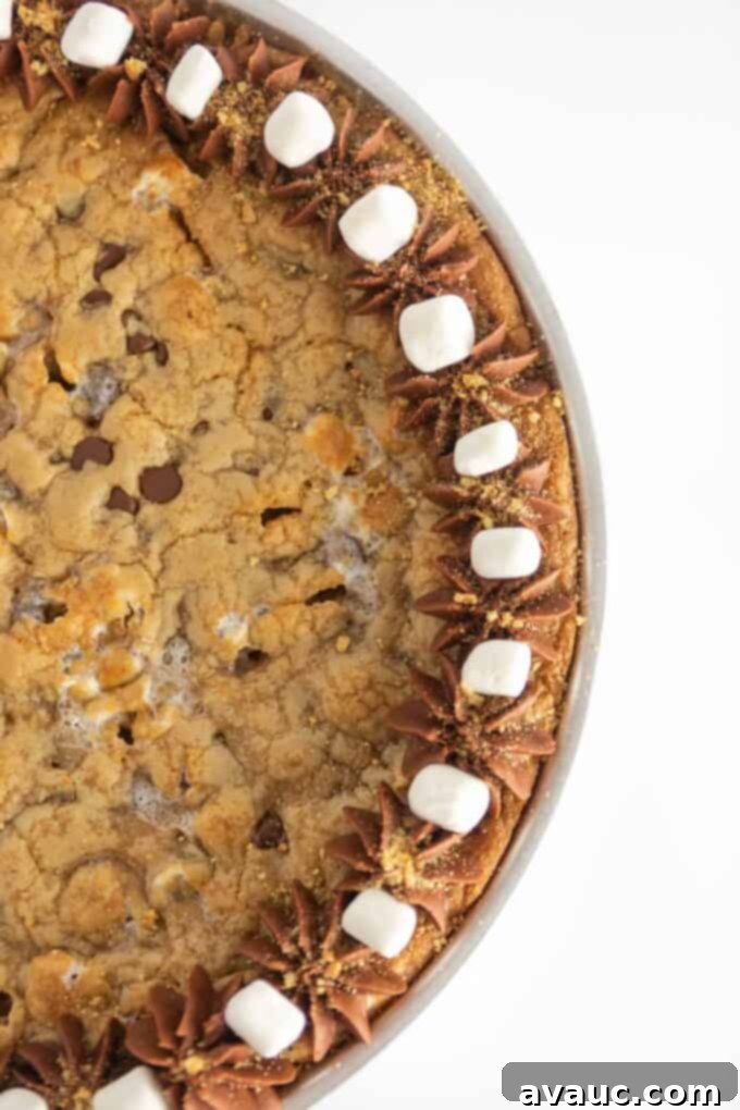 Campfire S'mores Cookie Cake 11 s'mores chocolate chip cookie cake with chocolate buttercream, mini marshmallows, and graham cracker crumbs on top