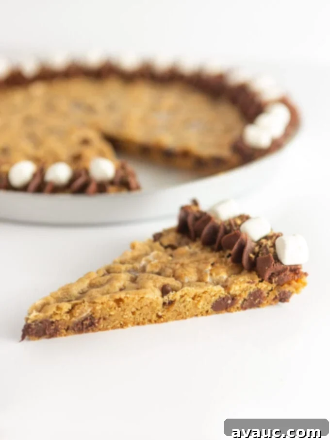 Campfire S'mores Cookie Cake 3 Close-up of a s'mores cookie cake slice showing the melty marshmallows and chocolate