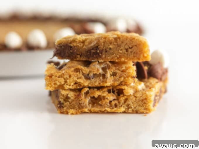 Campfire S'mores Cookie Cake 4 smores cookie cake cut to show chewy texture and melty marshmallows