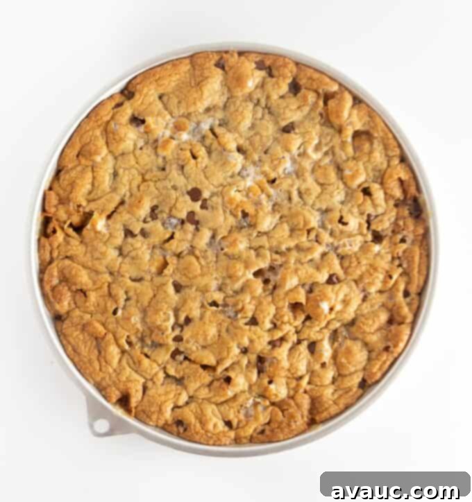 Campfire S'mores Cookie Cake 10 baked s'more cookie cake cooling in a round pan