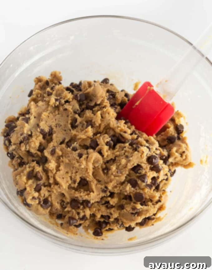 Bowl of freshly made chocolate chip cookie dough