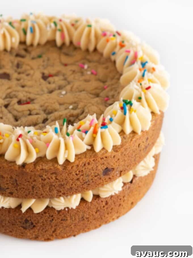 Giant Cookie Sandwich 11 Finished double layer chocolate chip cookie cake with piped frosting and sprinkles