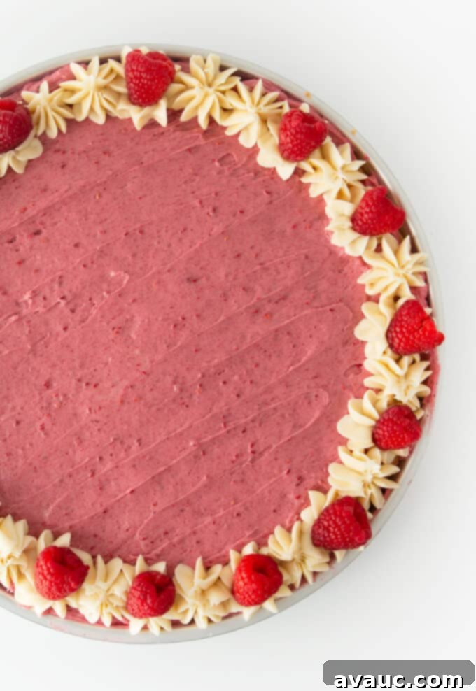 Decadent White Chocolate Raspberry Cookie Cake 8 A fully decorated white chocolate raspberry cookie cake, with raspberry frosting, a white piped border, and fresh raspberries and sprinkles on top.