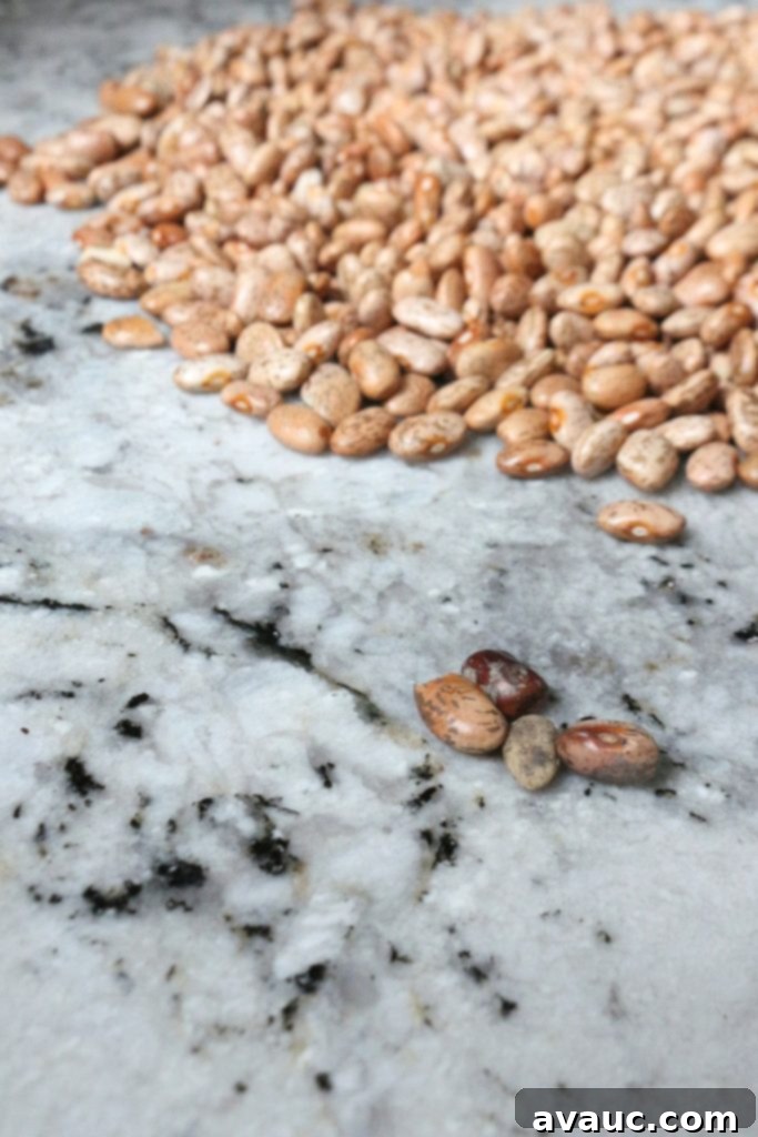 Cleaning and sorting pinto beans #pintobeans