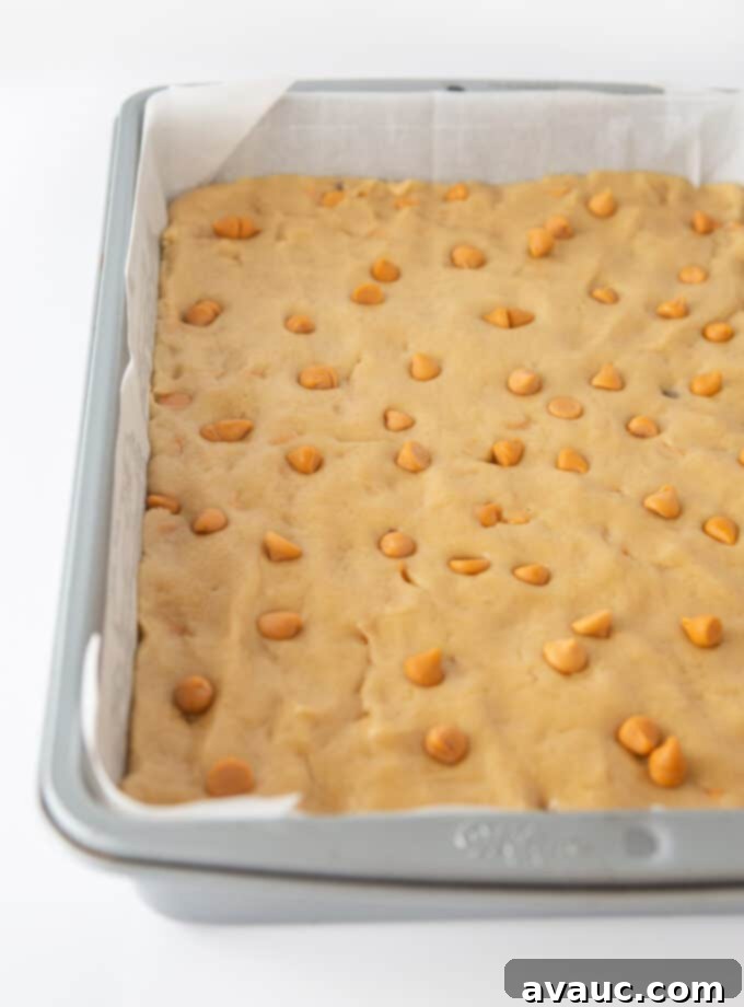 Gourmet Butterscotch Bars 6 9x13 metal pan with butterscotch cookie dough pressed on parchment paper