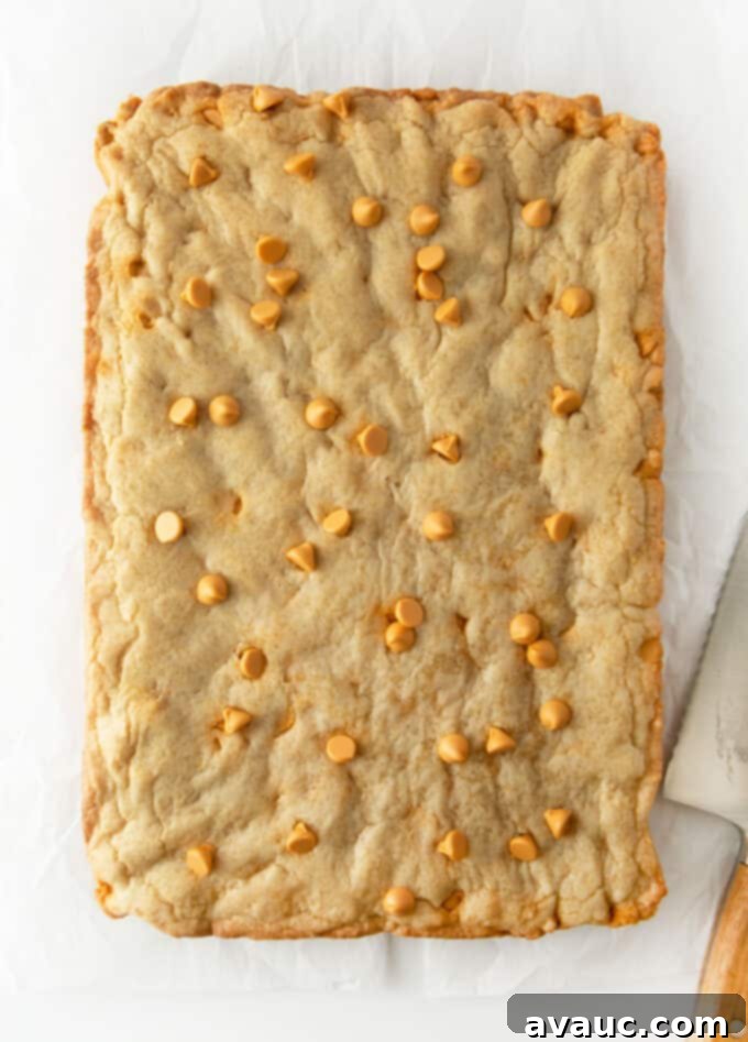 Gourmet Butterscotch Bars 7 baked 9x13 pan of butterscotch bars