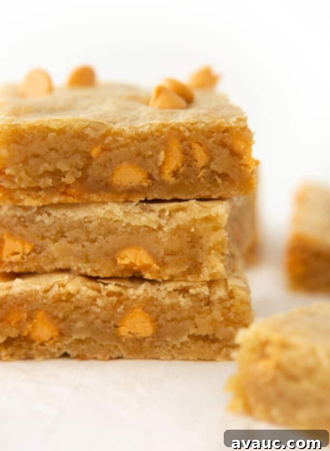 Gourmet Butterscotch Bars 9 stack of butterscotch cookie bars