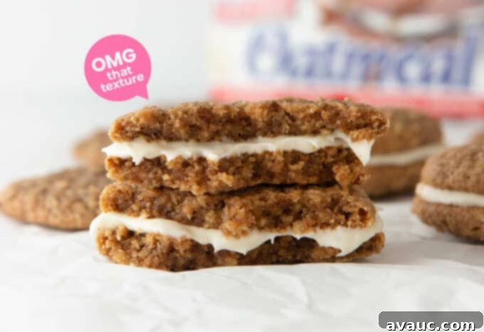 Close-up of the gooey marshmallow filling between two soft oatmeal cookies.