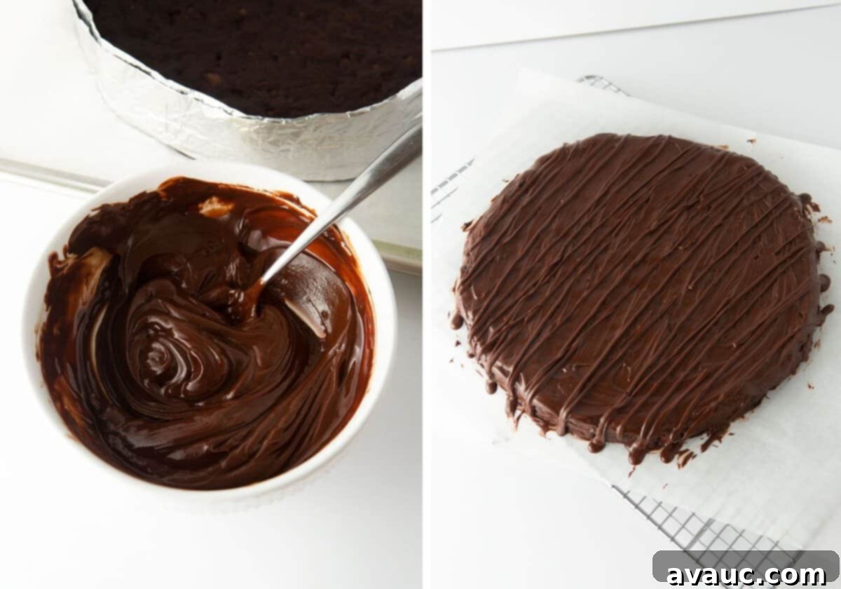bowl of chocolate topping with a spoon, and a close up of drizzled chocolate on top of a thin mint cookie cake