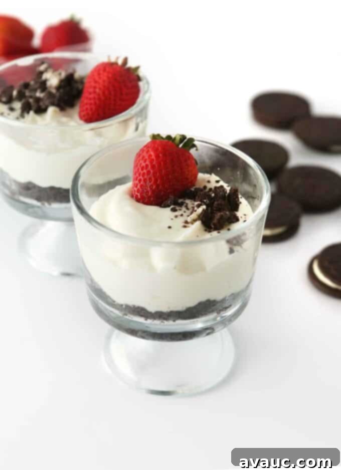 Individual No-Bake Cheesecakes 2 No-Bake Cheesecake Cups with Fresh Berries