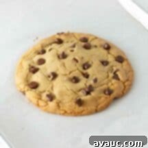 One Epic Chocolate Chip Cookie 10 img 31146 13