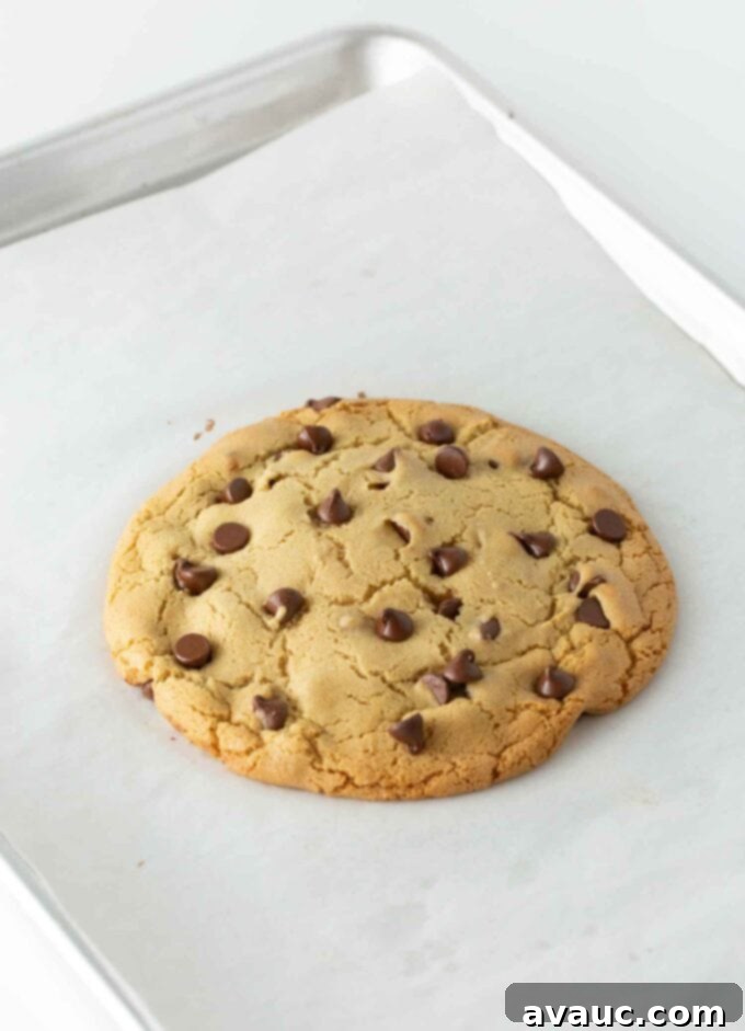 One Epic Chocolate Chip Cookie 8 Freshly baked giant chocolate chip cookie on a baking sheet, golden brown at the edges.