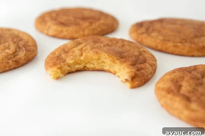 Cinnamon snickerdoodle cookie with bite to show soft texture