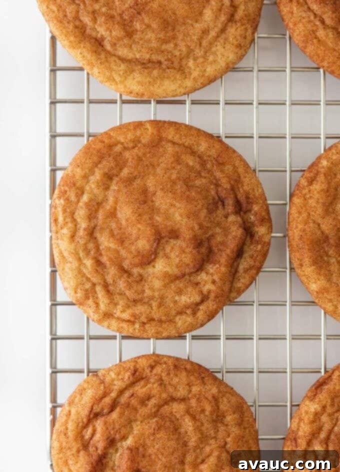 Cinnamon snickerdoodle cookies on metal cooling rack