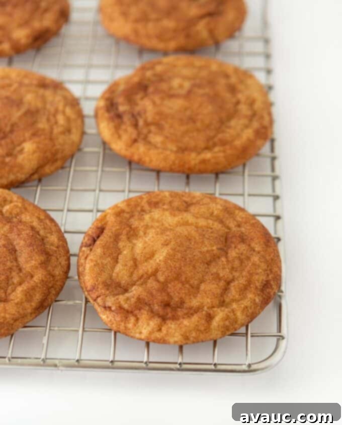 Cinnamon snickerdoodle cookies on metal cooling rack