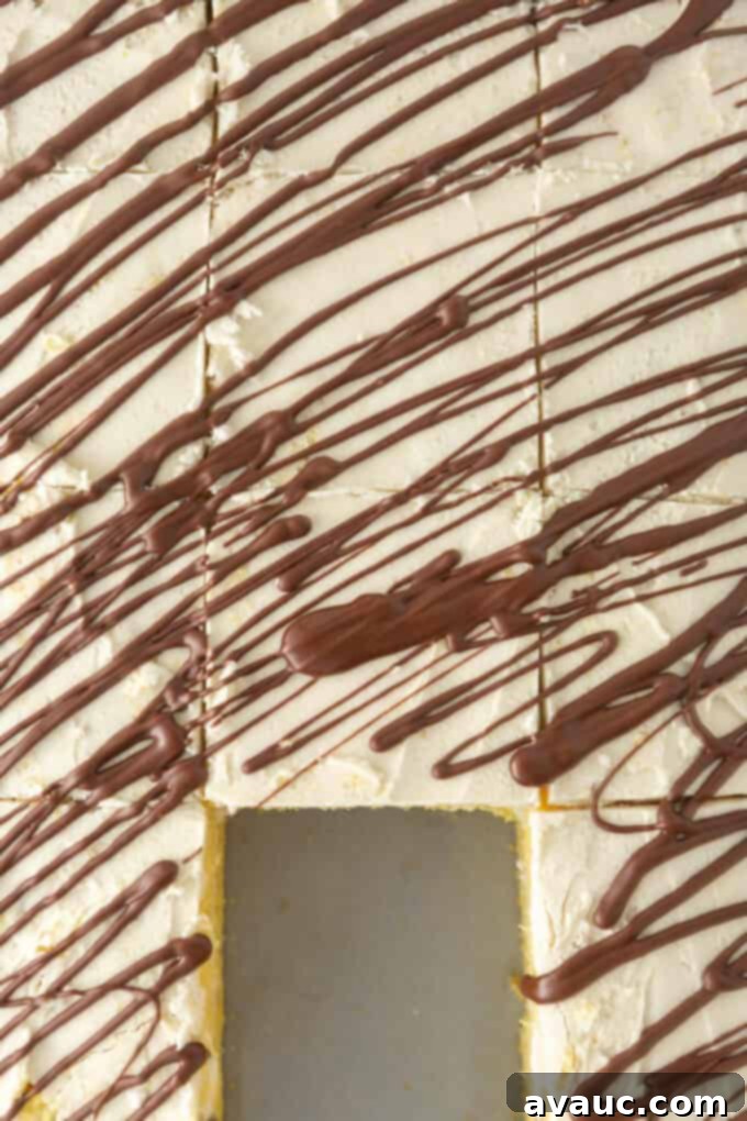 9x13 Zebra Sheet Cake 3 Overhead view of sliced squares of homemade zebra cake, with one square removed