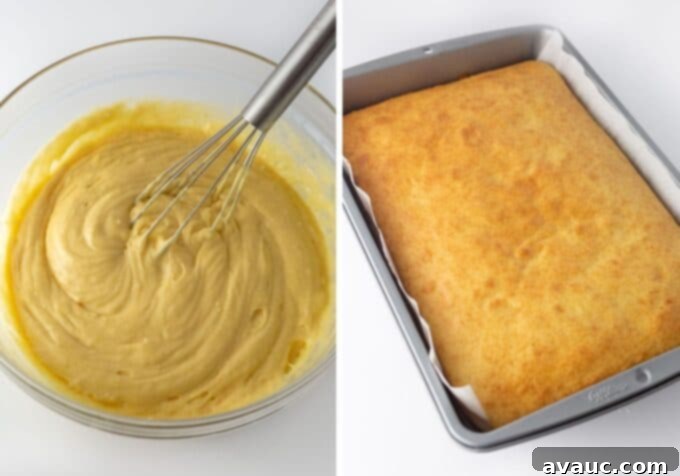 9x13 Zebra Sheet Cake 5 Side by side photos of zebra cake batter and the baked cake before frosting