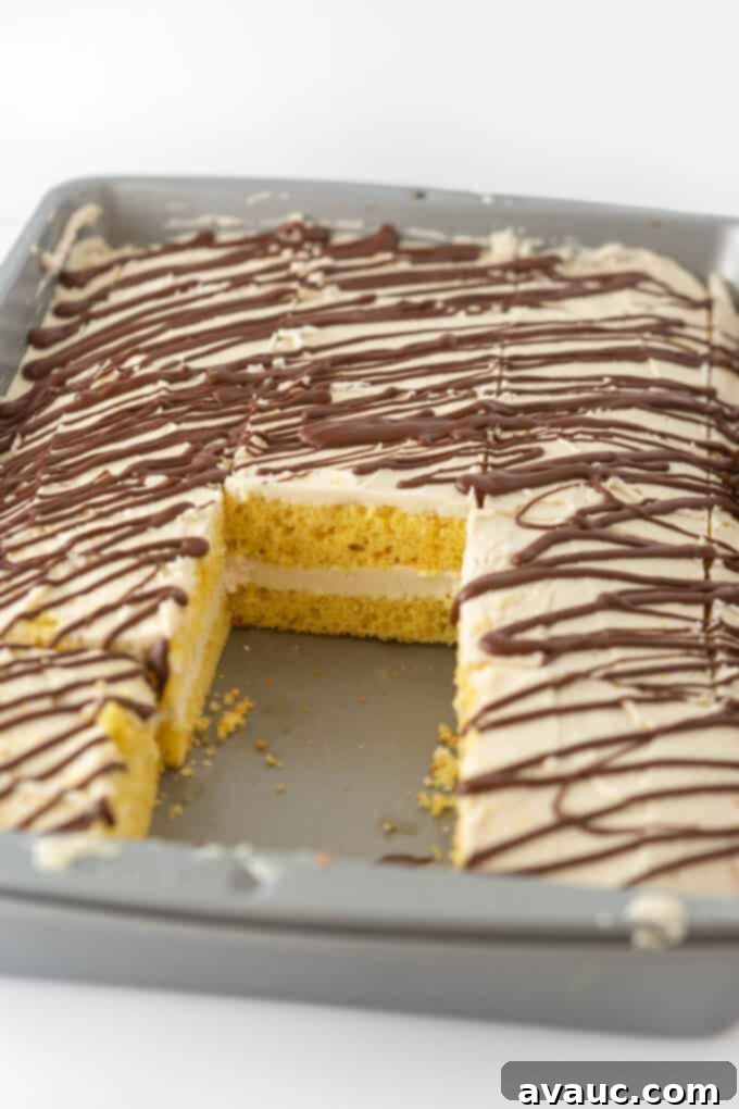 9x13 Zebra Sheet Cake 8 Homemade 9x13 zebra cake in pan with two slices removed to show layered interior