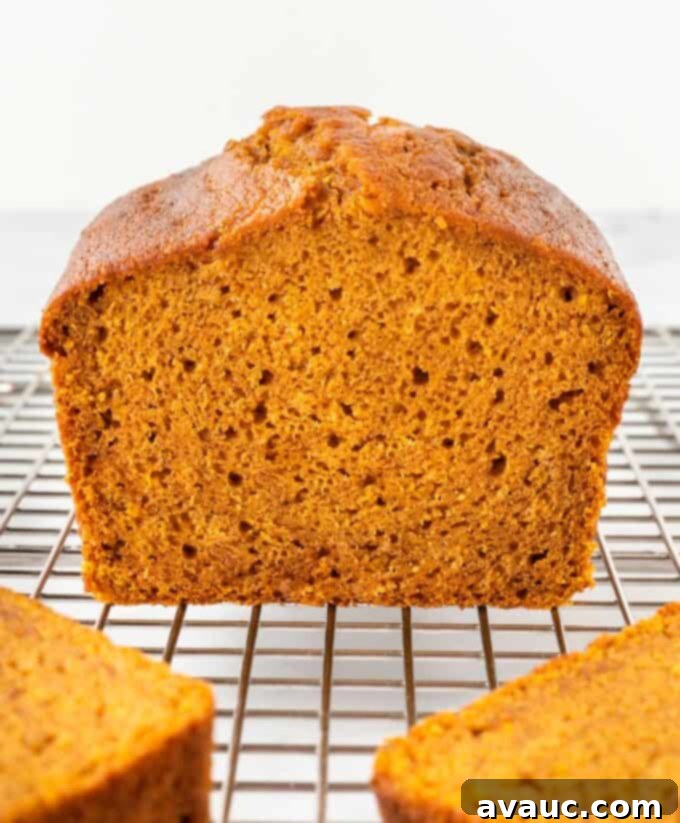 Close-up of the inside of a slice of pumpkin bread, showing its incredibly moist and tender texture with visible pumpkin flecks and a soft crumb.