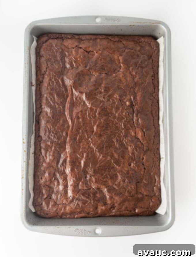 Touchdown Mini Brownies 5 9x13 light metal pan filled with a perfectly baked, cooled brownie slab