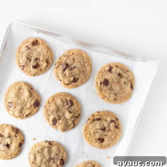 One Bowl Chocolate Chip Bliss 9 Freshly baked chocolate chip cookies on a baking tray, just removed from the oven.