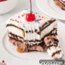 Dreamy Ice Cream Sandwich Cake 18 Easy Ice Cream Sandwich Cake with cherry on top