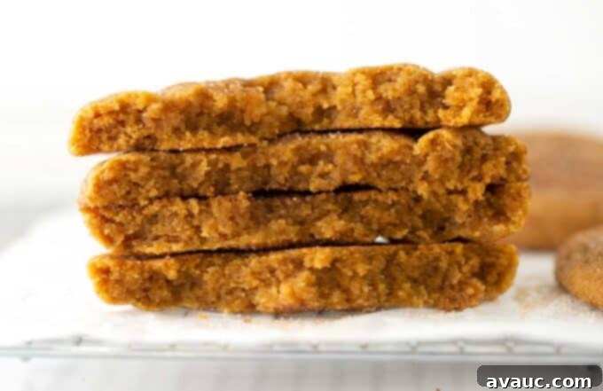 Close-up shot showing the soft, irresistible and chewy texture of a freshly baked pumpkin snickerdoodle.