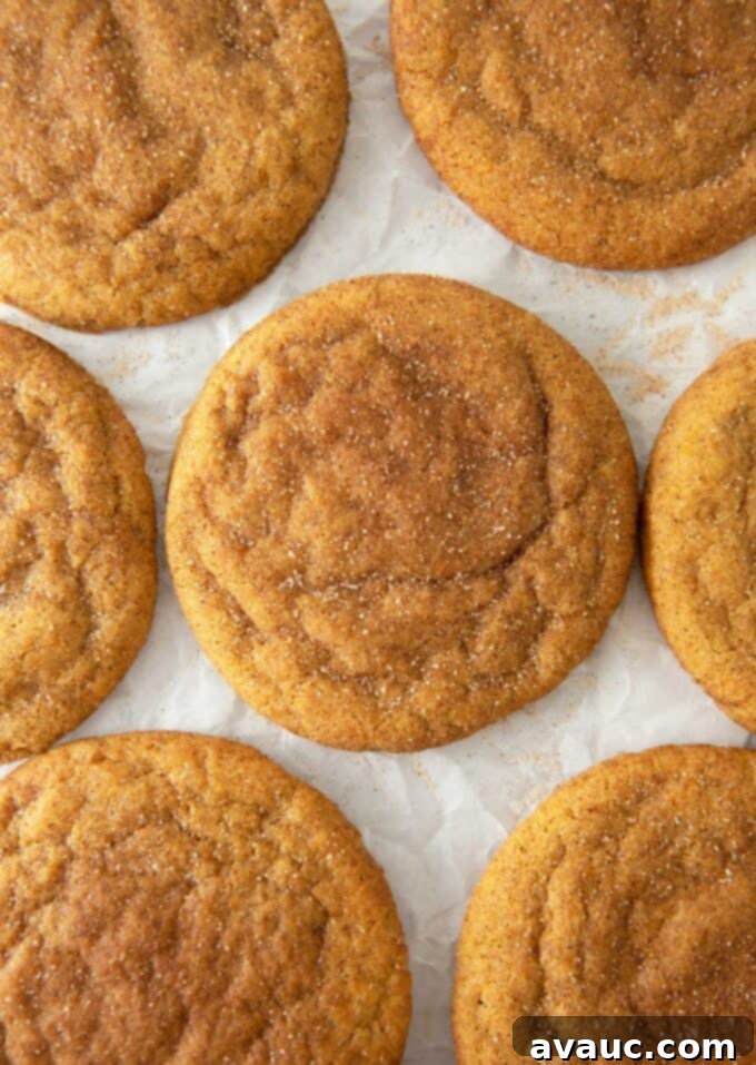 Freshly baked soft and chewy pumpkin snickerdoodles cooling on a wire rack.