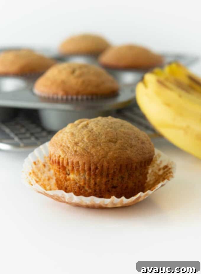 Effortless One Banana Muffins 2 Delicious and super moist banana muffins made with just one banana
