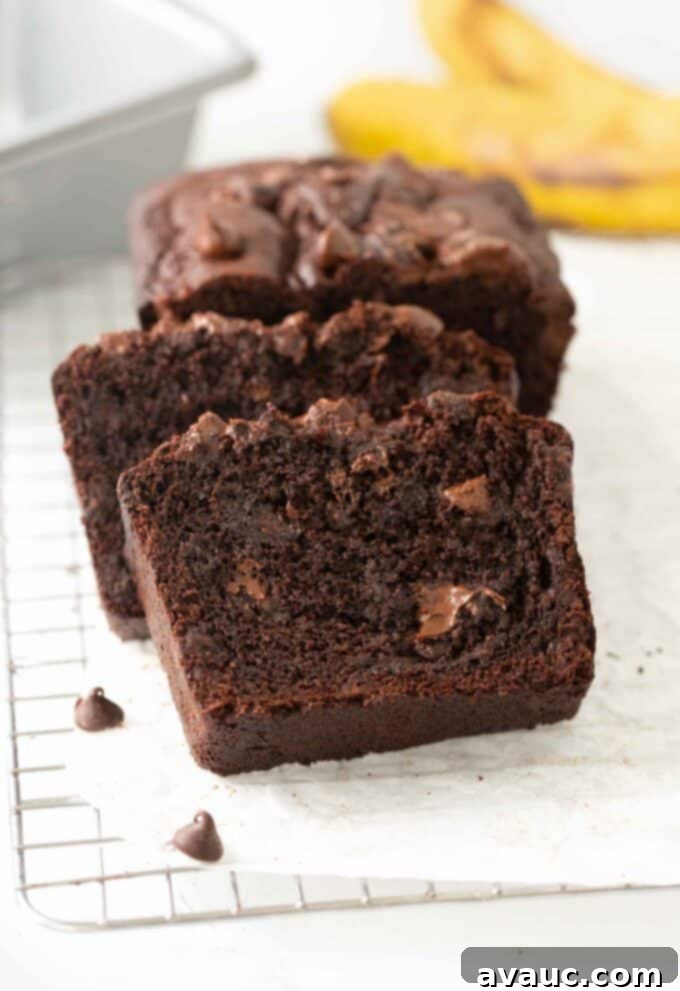 Slices of incredibly moist double chocolate banana bread, rich with cocoa and chocolate chips.