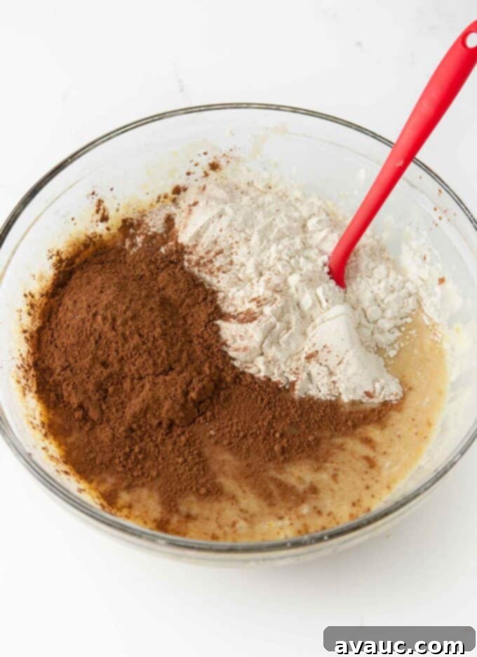 Bowl of chocolate banana bread batter with Hershey's cocoa powder and flour waiting to be mixed in.