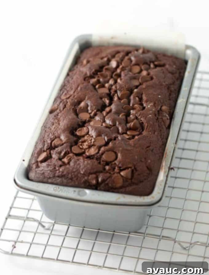 A freshly baked loaf of double chocolate banana bread, golden brown and glistening with melted chocolate.