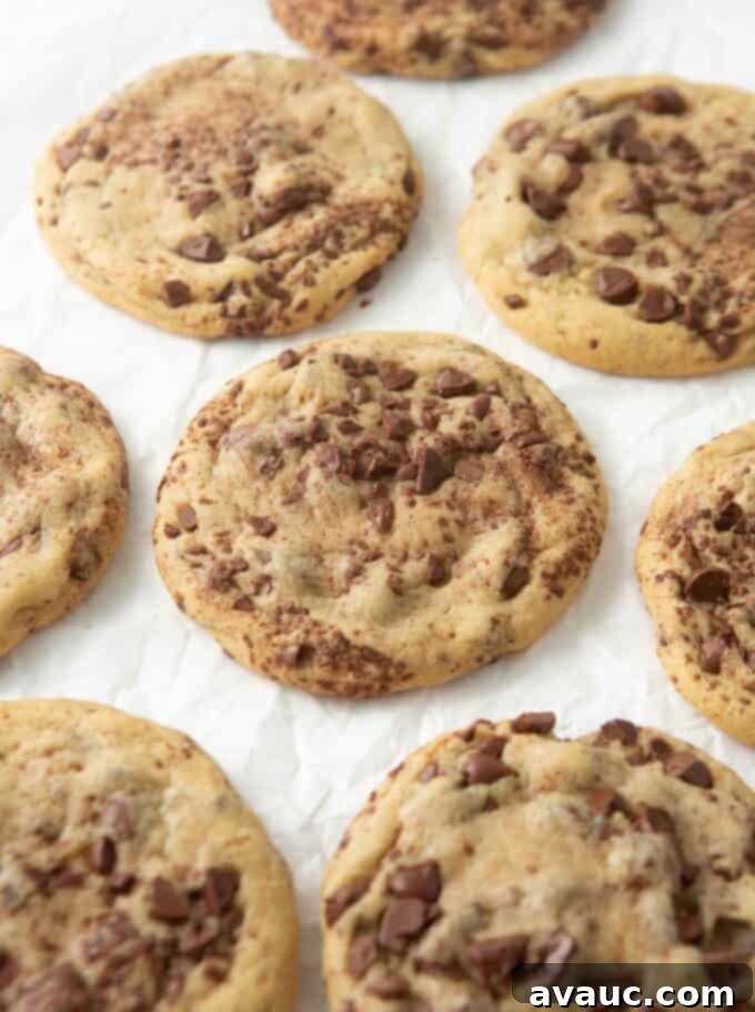 bakery style chocolate chip cookies
