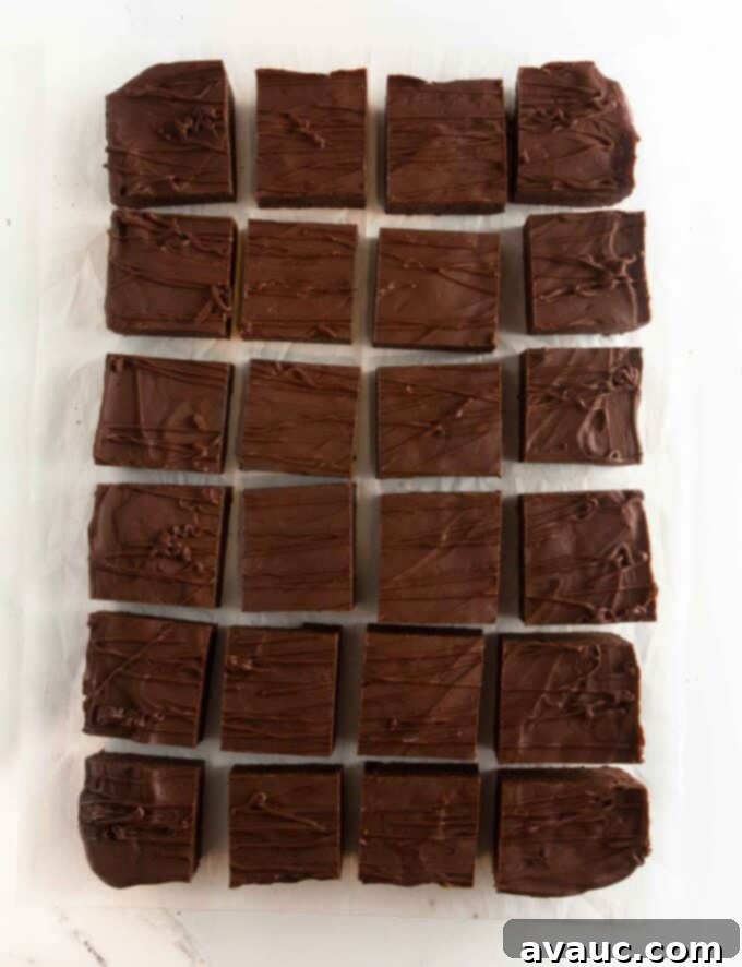 Decadent Thin Mint Cookie Bars 13 9x13 pan of thin mint cookie bars cut into 24 squares
