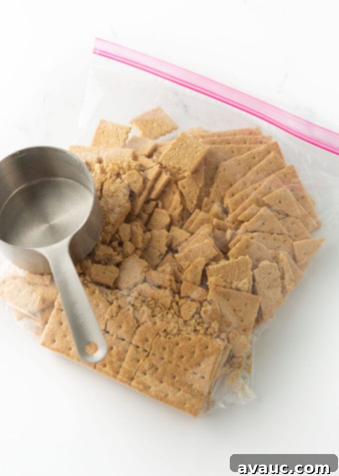 Easy No Bake Lemon Cheesecake Squares 5 ziploc bag of graham crackers to make into crumbs