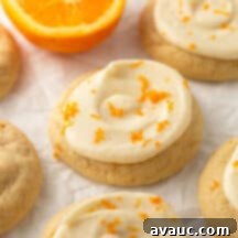 Glazed Orange Sugar Cookies 12 orange sugar cookies with orange zest on top