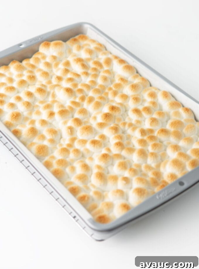 Gooey S'mores Cookie Bars 11 9x13 pan of s'more cookie bars with golden toasted marshmallows