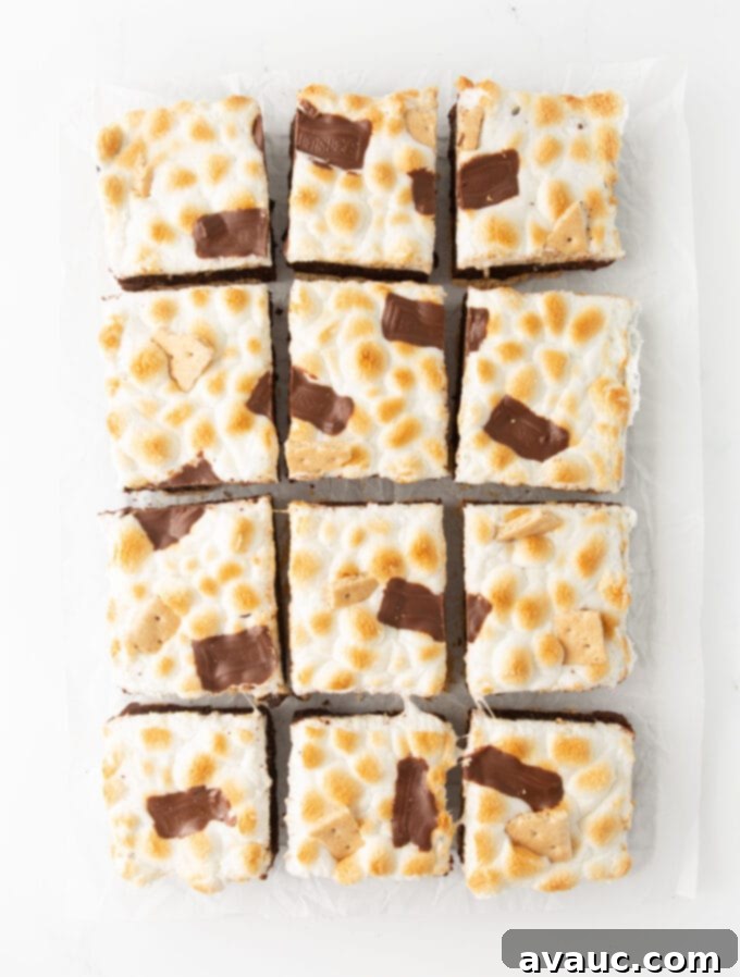 Gooey S'mores Cookie Bars 13 Perfectly cut chocolate s'more cookie bars arranged on a platter