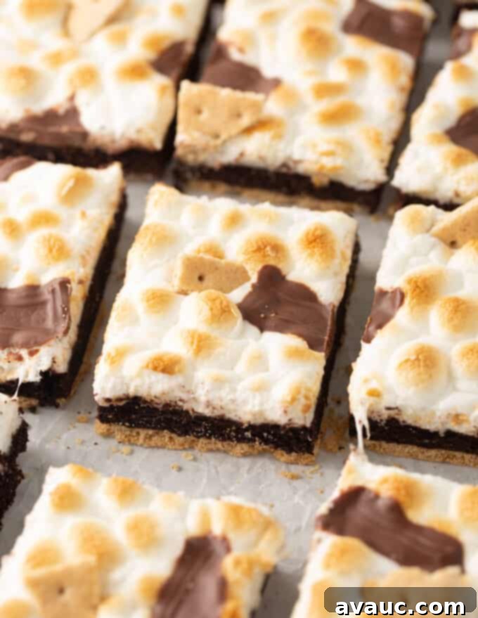 Gooey S'mores Cookie Bars 14 Stack of perfectly square chocolate s'more cookie bars