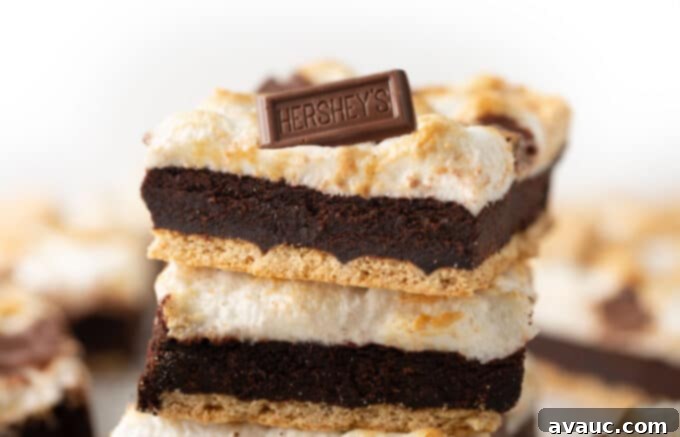 Gooey S'mores Cookie Bars 3 Single chocolate s'more brownie cookie bar topped with a piece of Hershey's chocolate