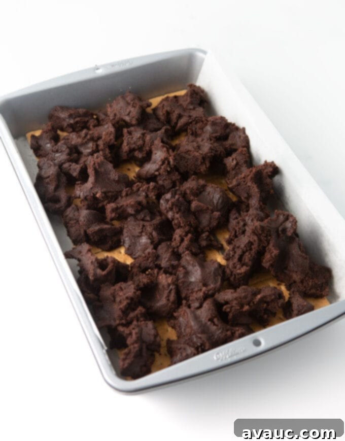 Gooey S'mores Cookie Bars 7 Chocolate cookie dough dropped in chunks over graham crackers
