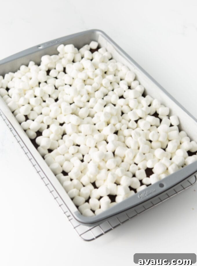 Gooey S'mores Cookie Bars 10 9x13 pan of s'more cookie bars topped with mini marshmallows before broiling