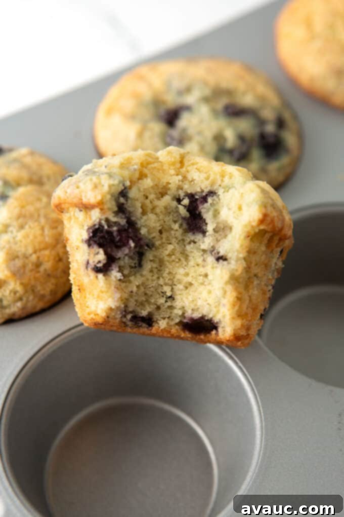 sour cream blueberry muffin texture