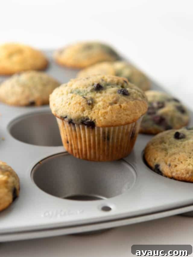 sour cream blueberry muffins on pan