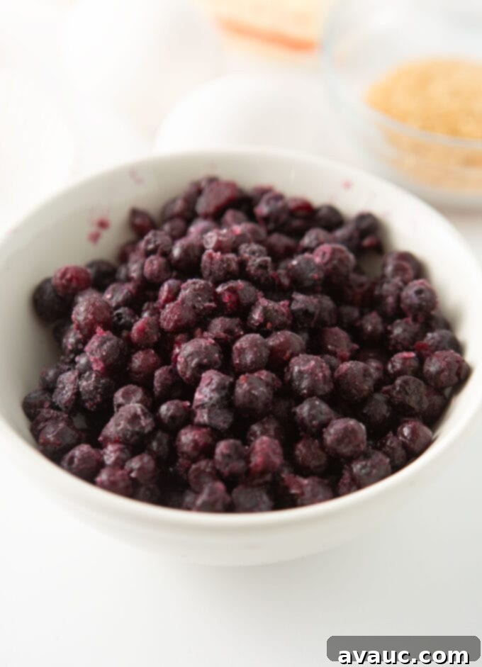 bowl of frozen wild blueberries