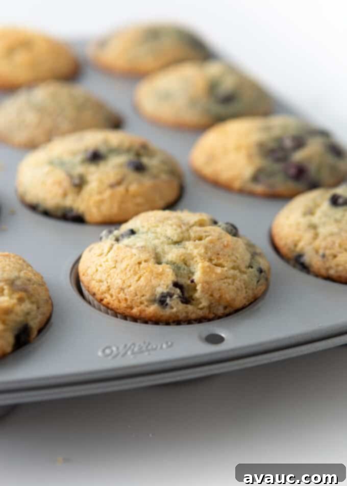 pan of sour cream blueberry muffins