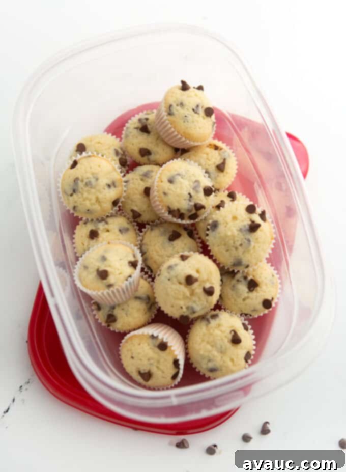 Mini Chocolate Chip Muffins 10 mini chocolate chip muffins stored in a tupperware container