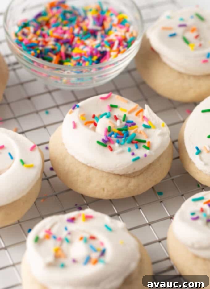 Plant-Powered Sugar Cookies 2 fluffy dairy free sugar cookies with rainbow sprinkles