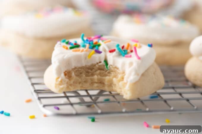Plant-Powered Sugar Cookies 3 bite of dairy free sugar cookie